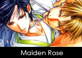Maiden Rose
